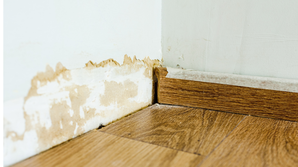 Signs of Water Damage in Walls