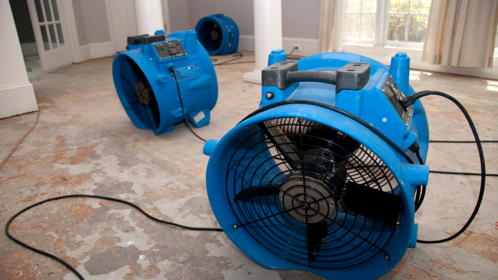 Water Damage Restoration process