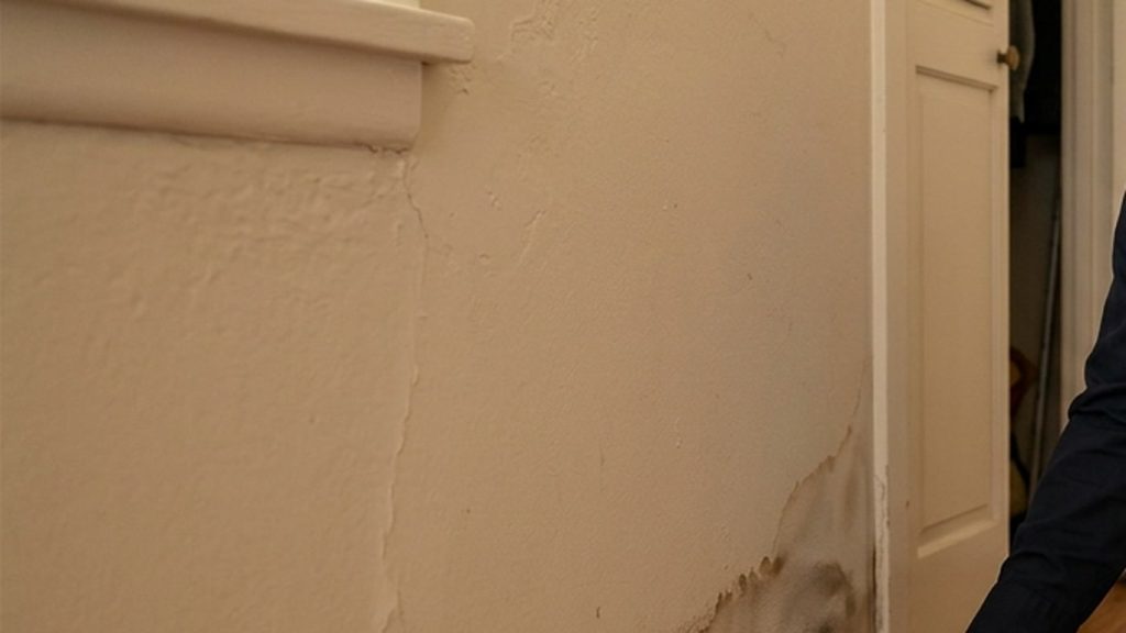 Water Around a Wall Base After a Plumbing Leak: What to Document First