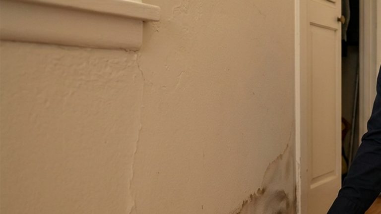 Water Around a Wall Base After a Plumbing Leak: What to Document First